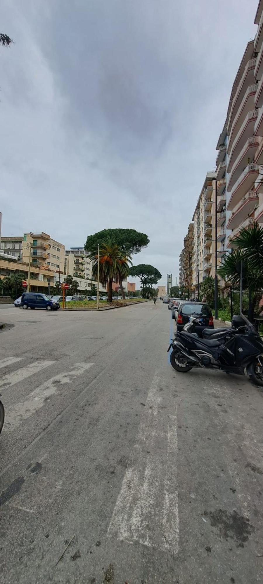 Zelia Naples